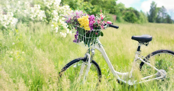 Bicycle Safety Tips for Seniors