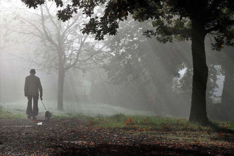 Why Are Elderly at Greater Risk for Suicide?