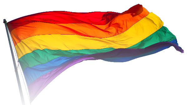 Special Home Care Concerns of LGBT Seniors