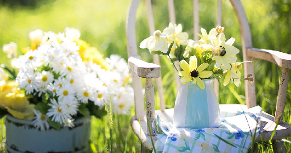 Elderly Green Thumbs: Health Benefits of Gardening for Seniors