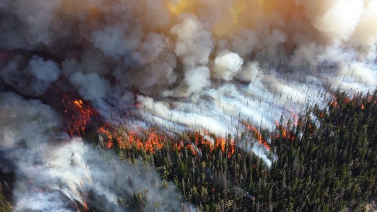 Protecting Seniors during Wildfires