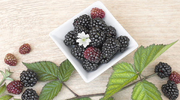 Do Seniors Benefit from An Anti-Inflammatory Diet?