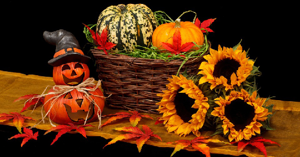 Best Home Care Tips for Making Halloween Safe and Fun
