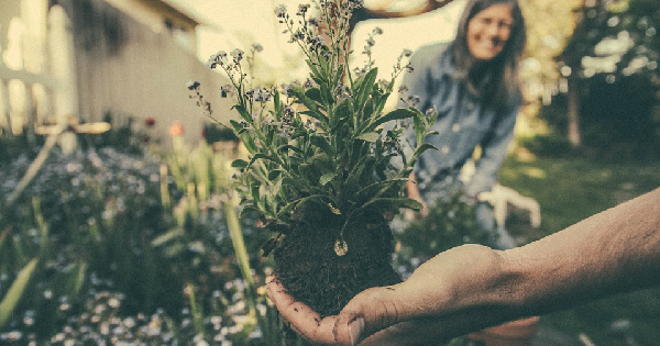 Home Caregiving Tips: Gardening for Dementia